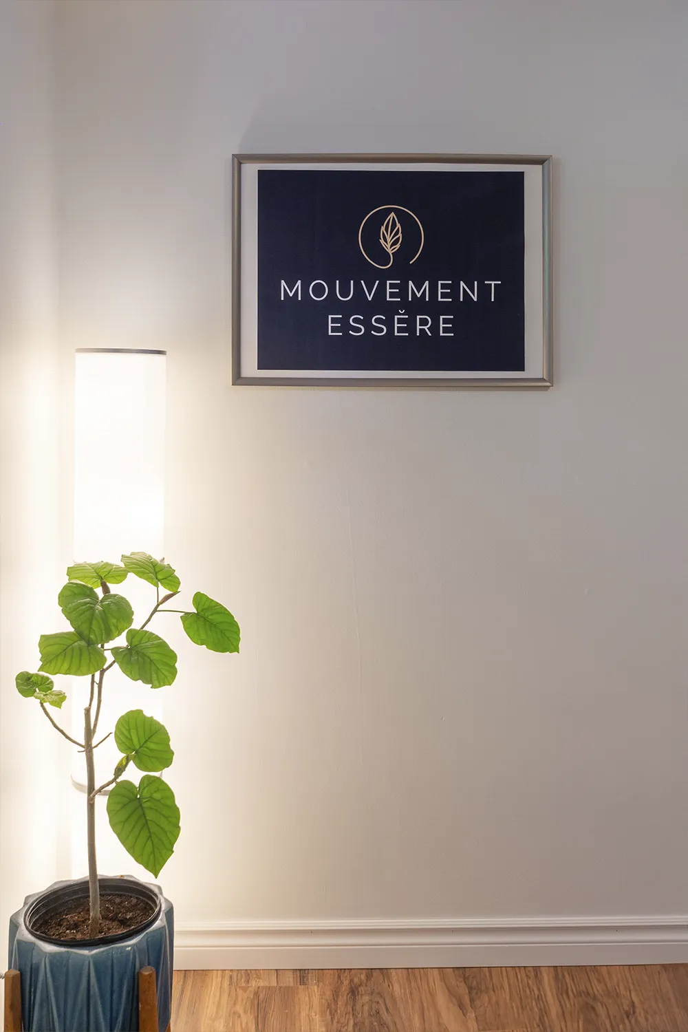 Logo officiel de Mouvement Essĕre encadré sur un mur blanc avec une plante verte décorative à la clinique de Blainville.